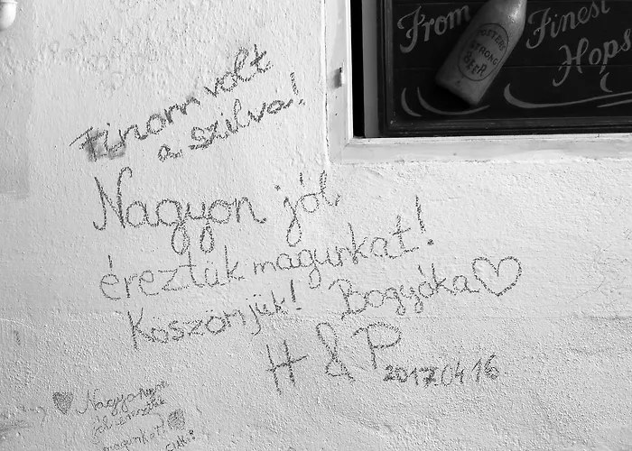 Гостьовий будинок Hiv-lak *